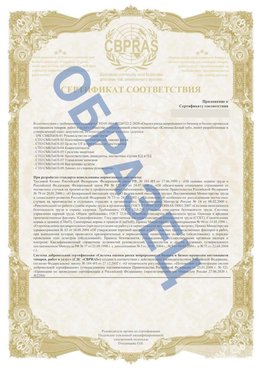 Образец Приложение к СТО 01.064.00220722.2-2020 Златоуст Сертификат СТО 01.064.00220722.2-2020 